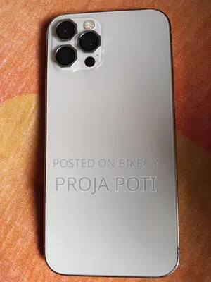 Apple iPhone 12 Pro Max (Used)
