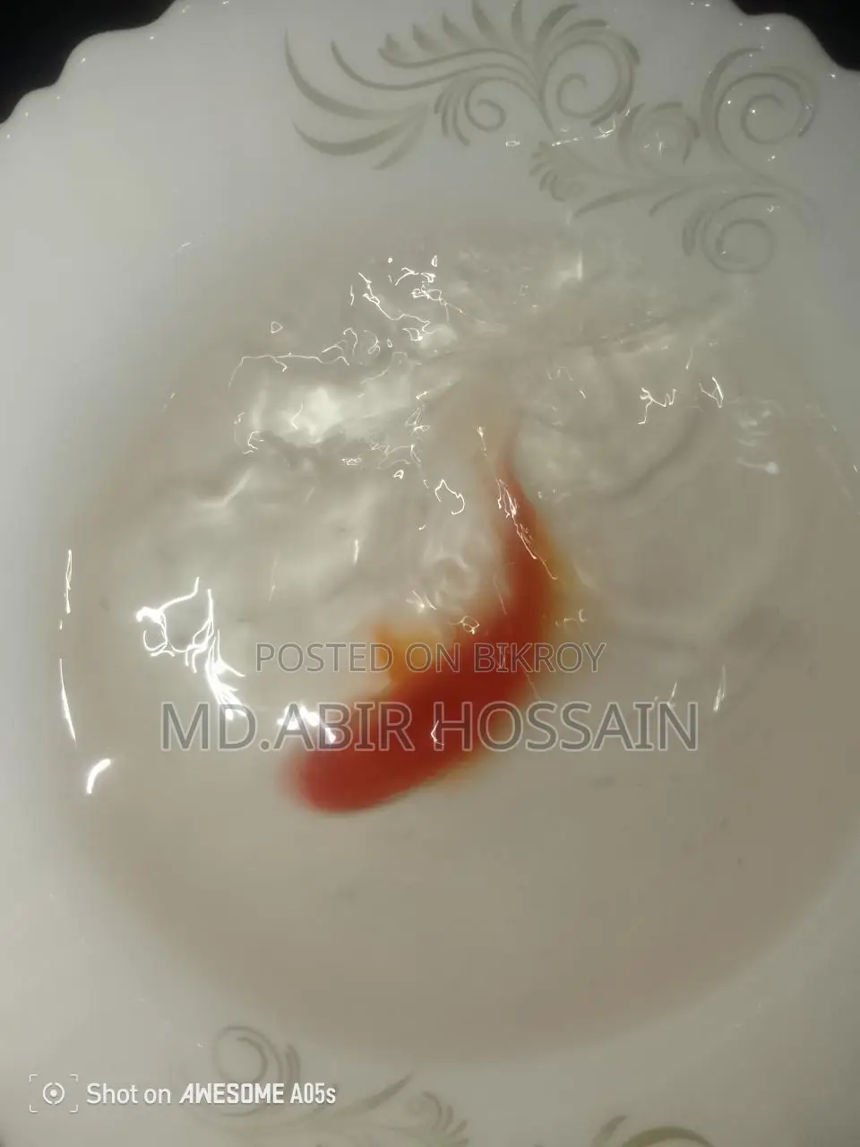 Best Fish for Your Aquarium Here