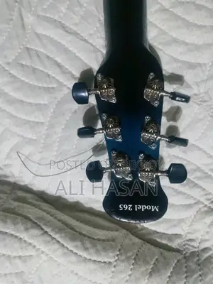 For Sale - Nm Signature Loud Series 165