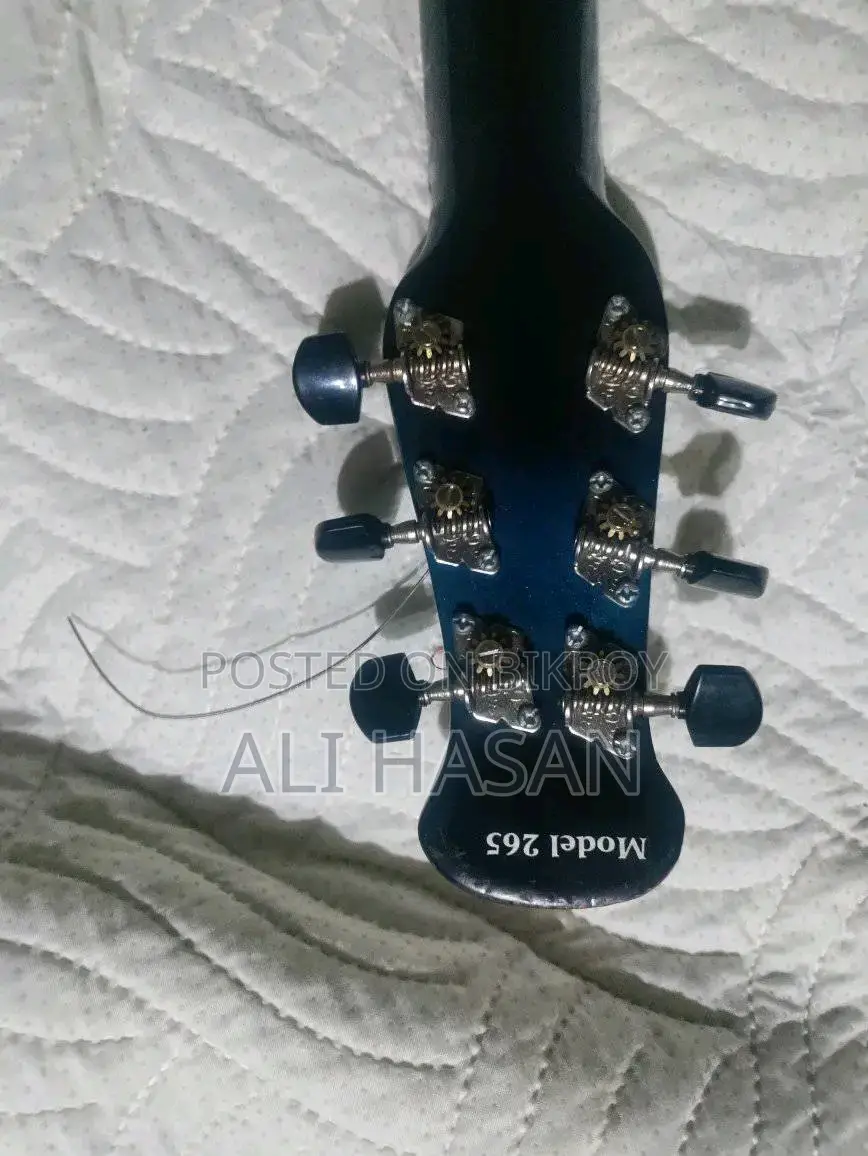 For Sale - Nm Signature Loud Series 165