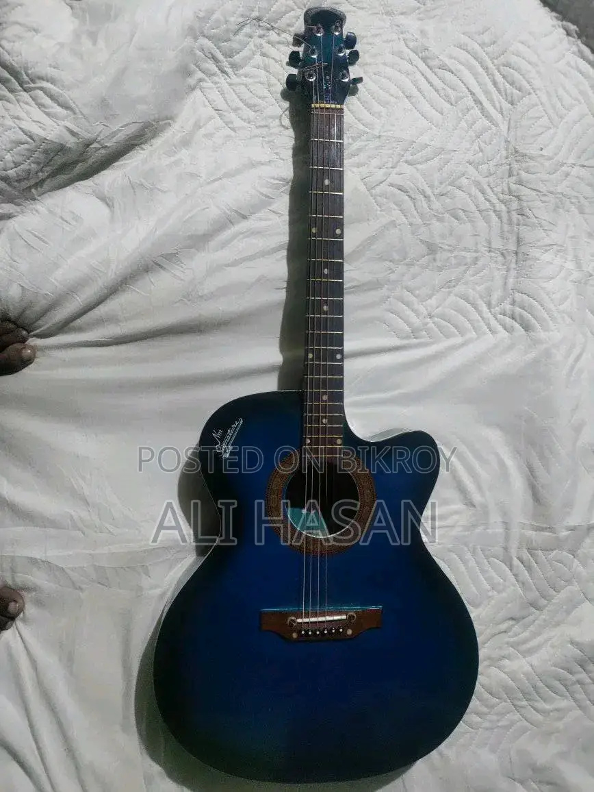 For Sale - Nm Signature Loud Series 165