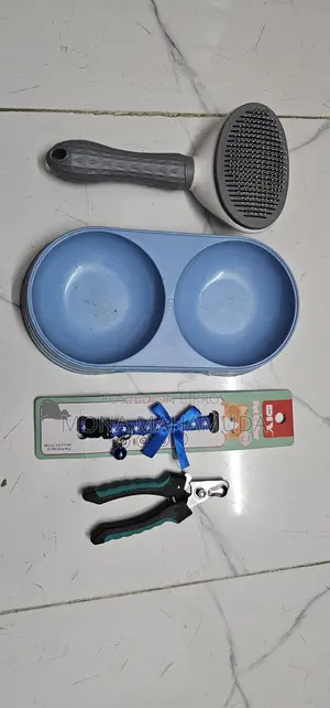 কাঠের ঘর