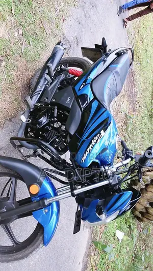 Hero Passion Pro 2026