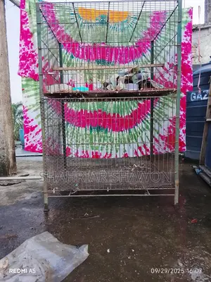 মুরগী বা কবুতরের বানানো খাচা