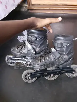 স্কেটিং শো
