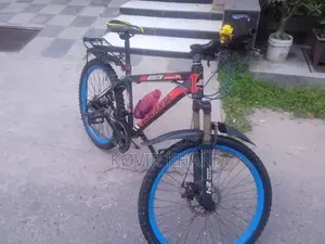 Duranta Bicycle for Sale