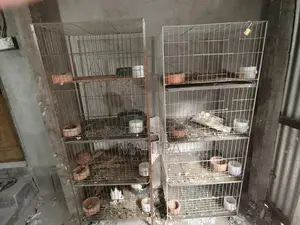 কবুতরের খাঁচা ৪ তলা