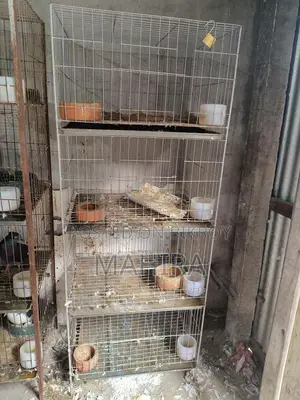 কবুতরের খাঁচা ৪ তলা