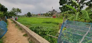 জরুরী ভিত্তিতে ২০০ শতাংশ জমিটি বিক্রয় হবে।