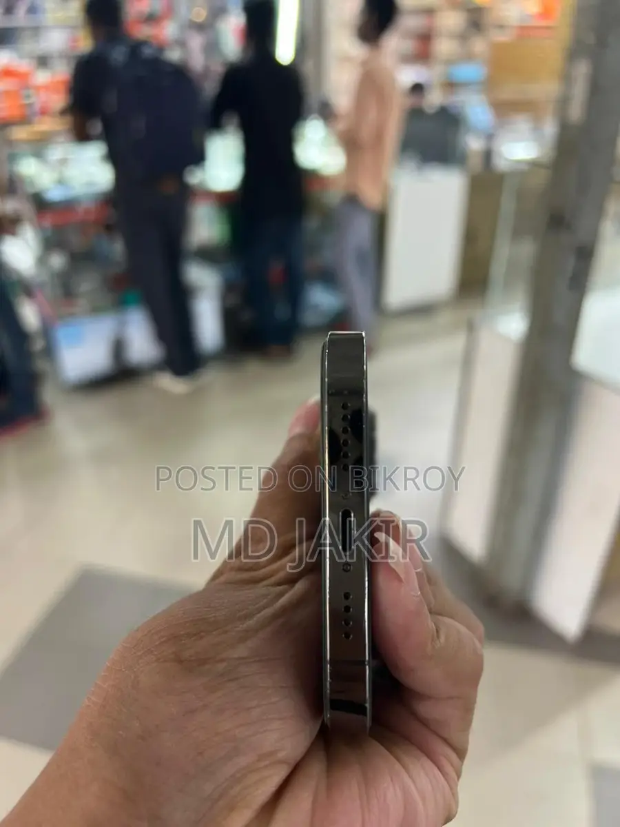 Apple iPhone 13 Pro Max (Used)