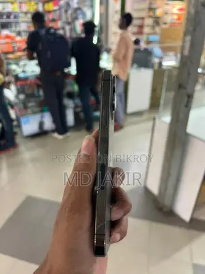 Apple iPhone 13 Pro Max (Used)