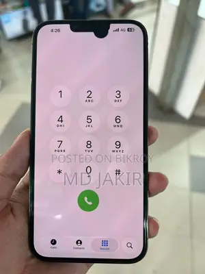 Apple iPhone 13 Pro Max (Used)