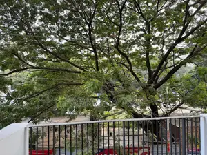3-bedroom Apartment in Parkview South-facing for sale