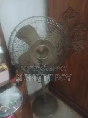 জিপসি ফ্যান, বড়ো সাইজ