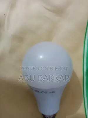 Electric Lights