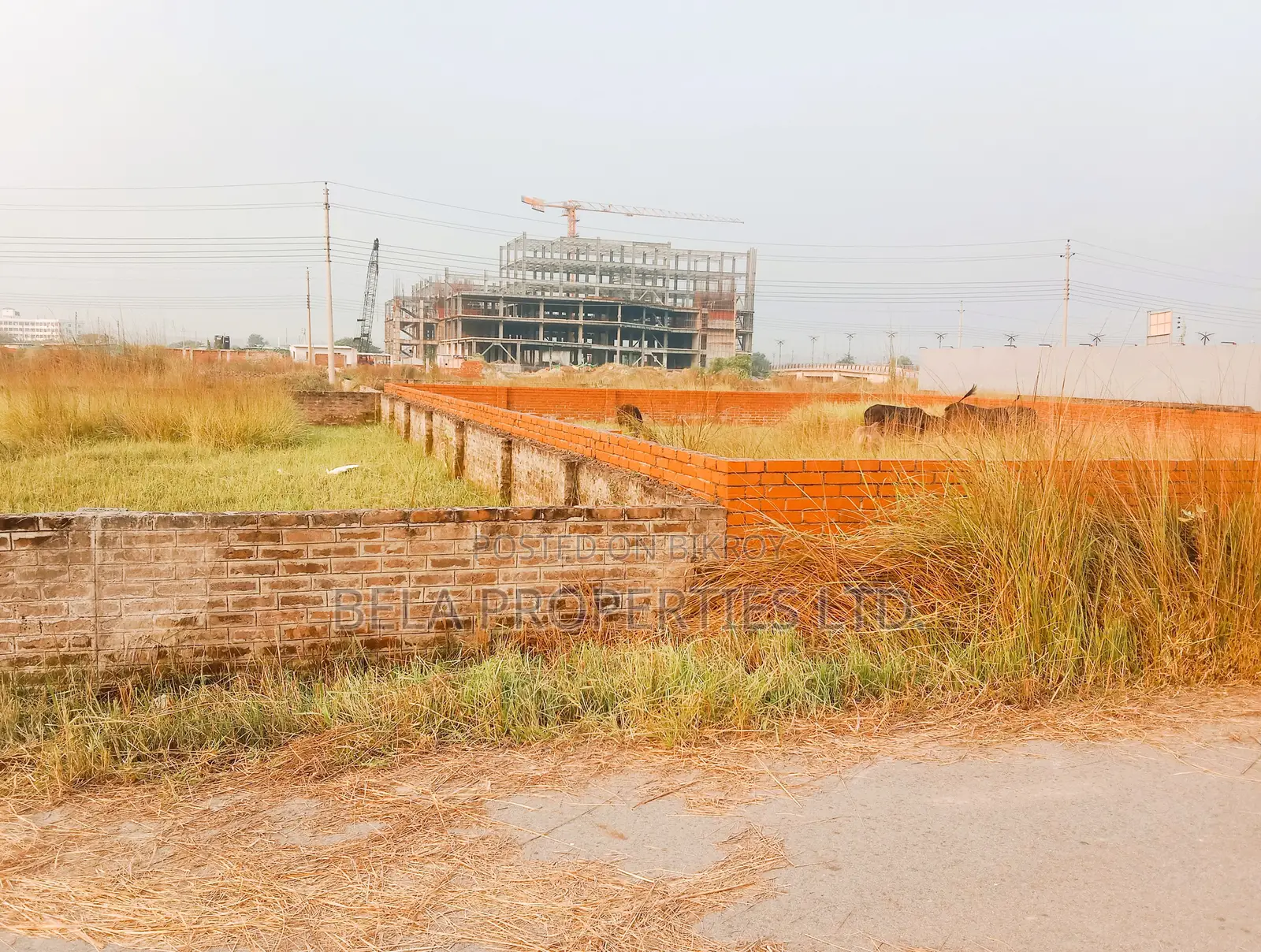 N-Block 3+3= 6 Katha South Facing Plot Sale Near Bazar Protidin
