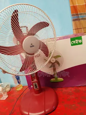 ওয়ালটনের সেফ ফ্যান