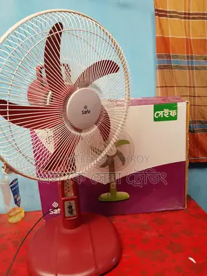 ওয়ালটনের সেফ ফ্যান