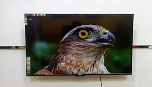 Vision-43" Inch Android Frameless Voice Control TV