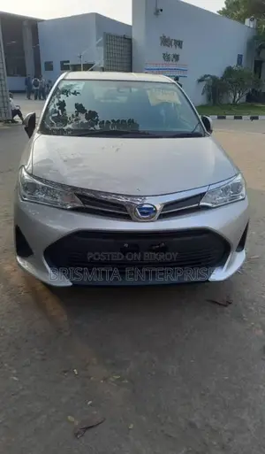 Toyota Axio EX package 2020