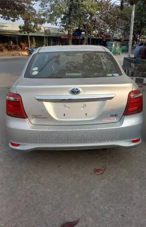 Toyota Axio EX package 2020