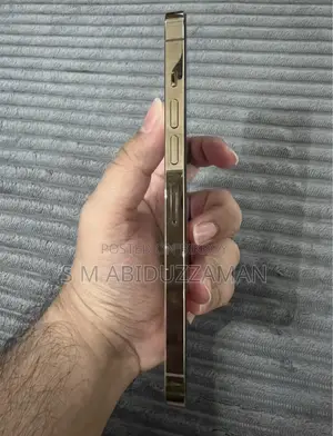 Apple iPhone 13 Pro Max 256 GB Bronze