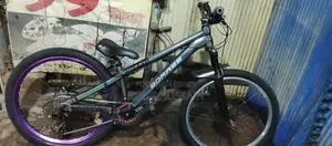 Boarse San 6.1 Cycle