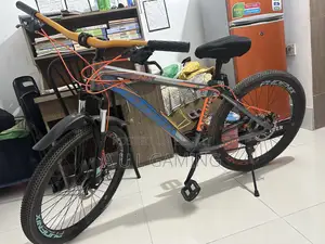 Phoenix Argus