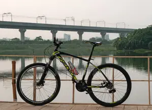 Bicycle/cycle For Sale (veloce Legion 10)