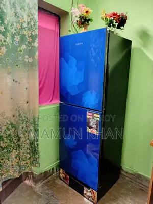 Singer Fridge