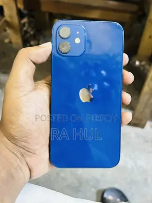 Apple iPhone 12 (Used)