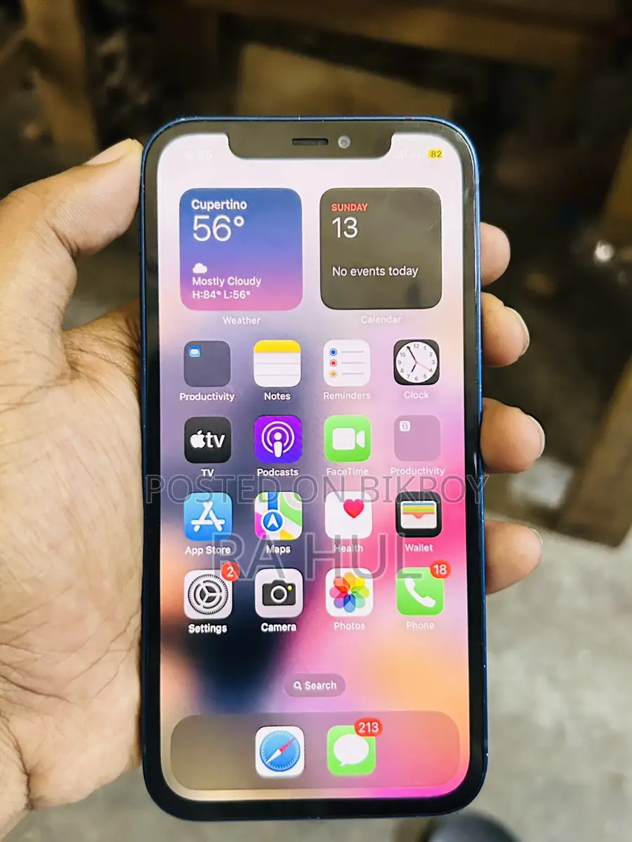Apple iPhone 12 (Used)