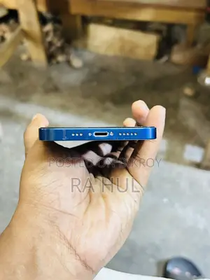 Apple iPhone 12 (Used)