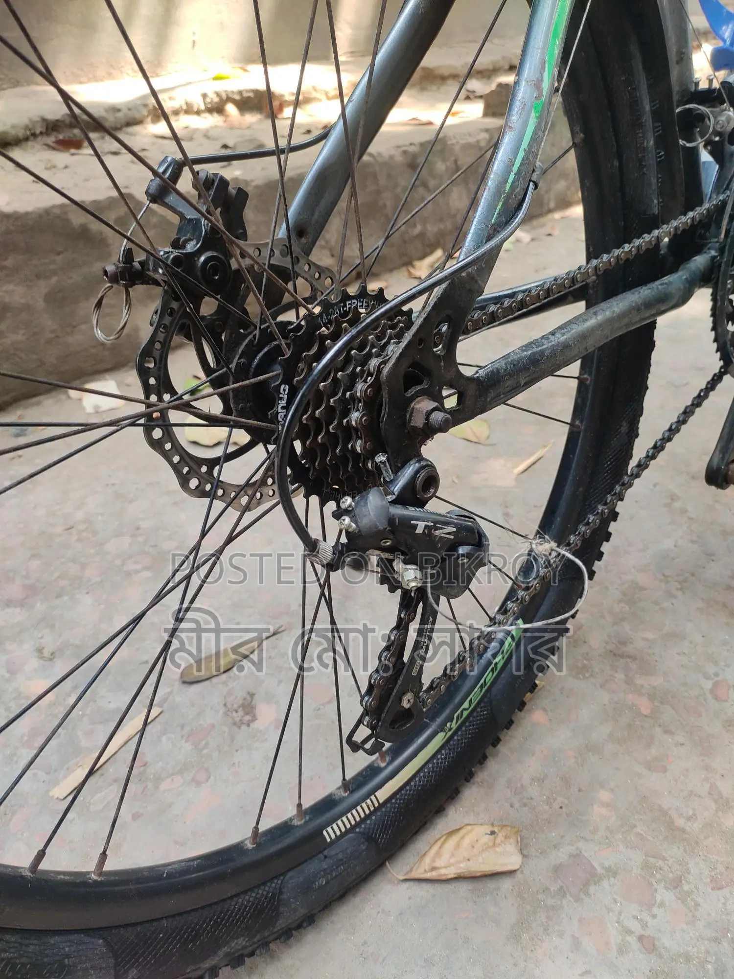 Bicycle