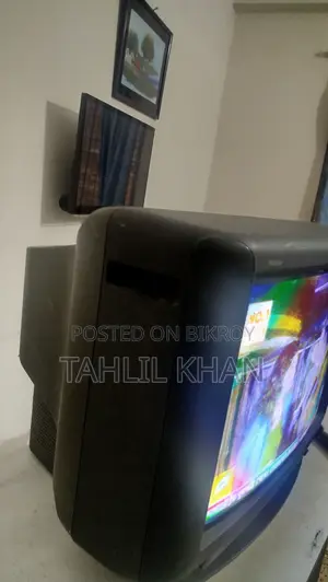 Sony Trinitron 21" TV
