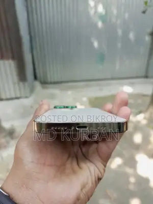 Apple iPhone 13 Pro . (Used)