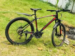 Seventy One: A Great Bicycle
