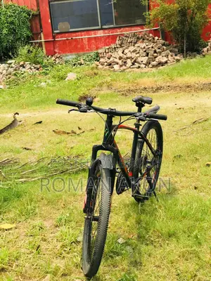 Seventy One: A Great Bicycle