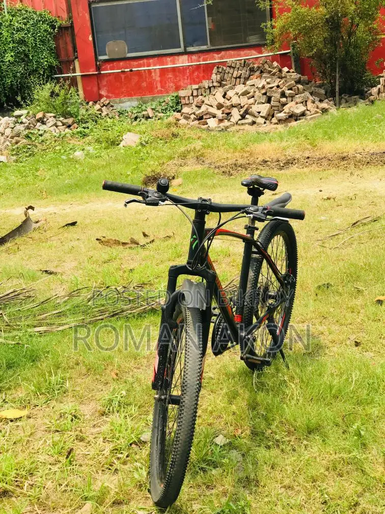 Seventy One: A Great Bicycle