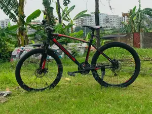 Seventy One: A Great Bicycle