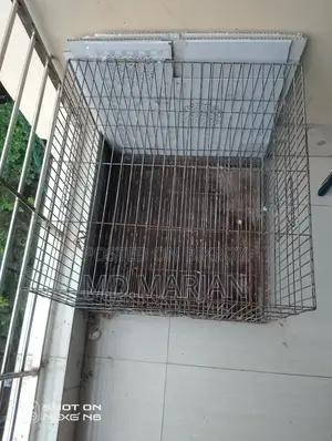 পাখির খাঁচা