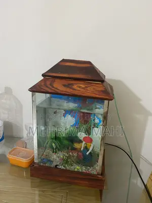 একোরিয়াম মাছ আছে