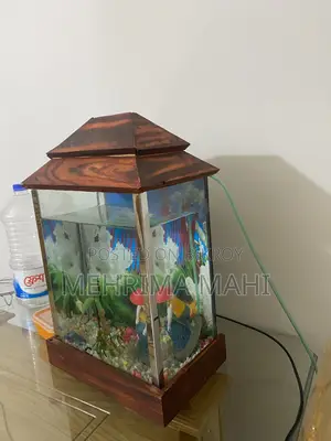 একোরিয়াম মাছ আছে