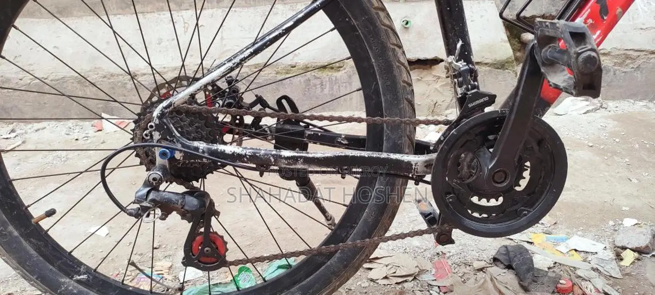Bicycle for sale