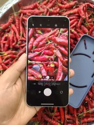 Nothing Phone 2 12GB/512GB (Used)