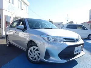 Toyota Axio Hybrid EX Push Start 2021
