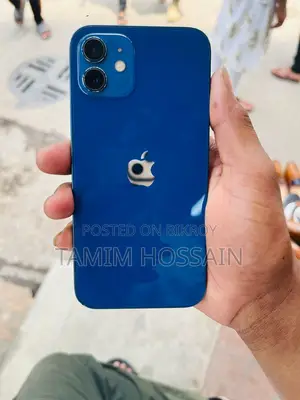 Apple iPhone 12 (Used)