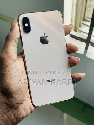 Apple iPhone XS (64GB) (Used)