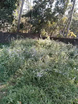 পিরোজপুর শাপলা গেইট এর বিপরীত পাশে ২.৫০ ডিসিমেল জায়গা বিক্রি করা হবে