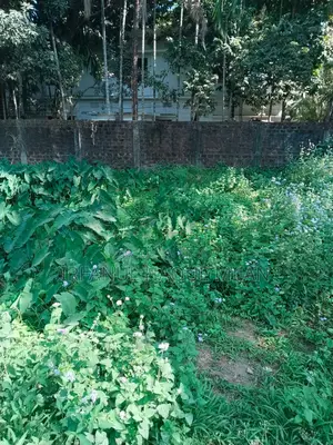 পিরোজপুর শাপলা গেইট এর বিপরীত পাশে ২.৫০ ডিসিমেল জায়গা বিক্রি করা হবে